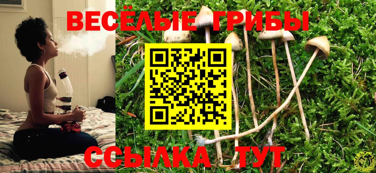 Галлюциногенные грибы GOLDEN TEACHER  Вход с VPN  Вязники  Псилоцибиновые грибы GOLDEN TEACHER 