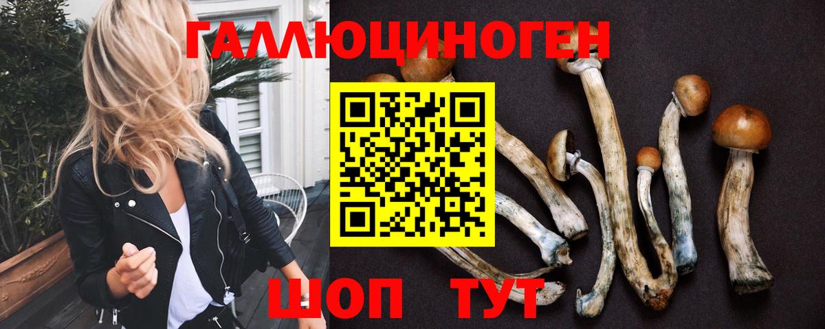 Псилоцибиновые грибы прущие грибы Вязники